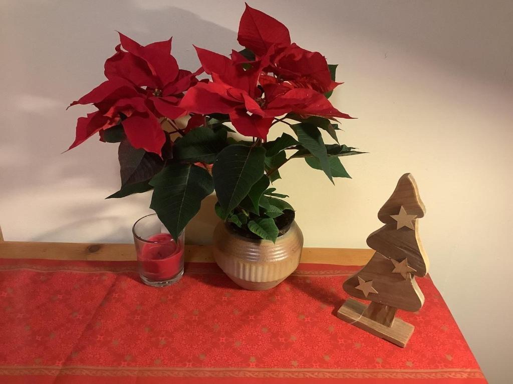 벨튼 Blumenhaus 아파트 외부 사진